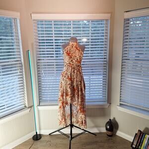 Petal & Pup Size 6 Sleeveless Spring/Summer Floral Dress